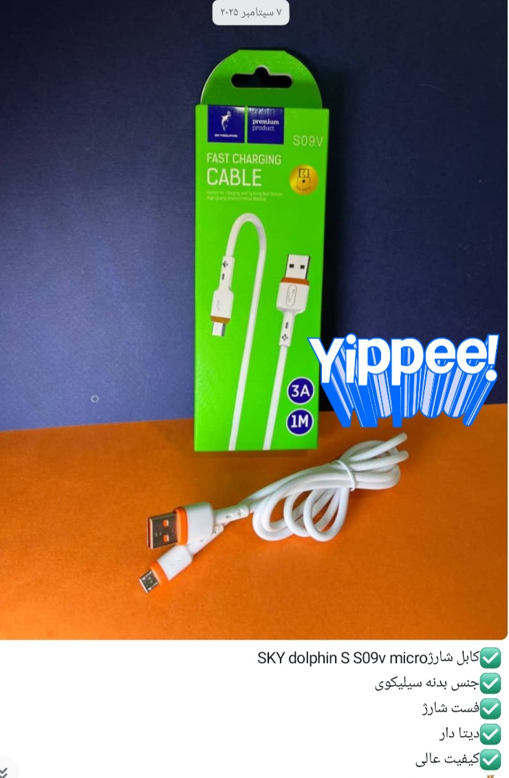 کابل شارژ sky dolphin S S09v micro