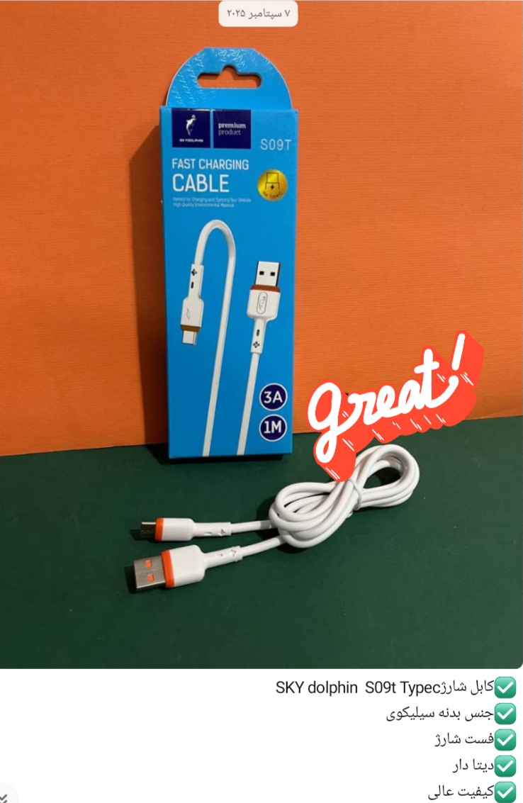 کابل شارژ sky dolphin s09t type c